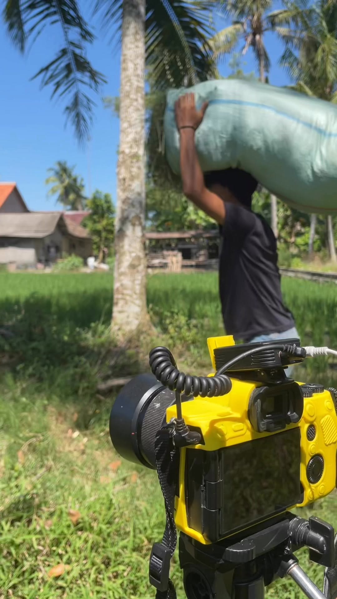 walaupun panas tetap gass poll kita syuting di pinggir sawah gaeeees #fypシ゚viralシfypシ゚ #fypfbpro #reelsfypシ #fyp #markonah #dibaliklayar #filmpendek #
