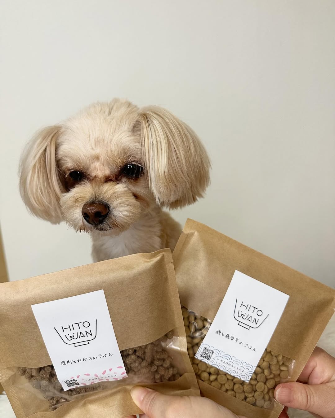 @hitowan_dog ãããããæäœããã¯ããå±ãããðâ€ïž
ä»åå±ããã®ã¯ããã®äºã€ã®ãã©ã€ããŒã
é°¹ãšè©æ©èã®ãã¯ãð
ä»ã«ãHITOWAN ããã¯ããã¥ãŒãã¿ã€ãã®æäœããã¯ããããããæäœããã¯ã掟ã®ããã¡ããã«ãããããâšð¶
飿ã«ããã ãã£ãŠããŠãå®å
šãªç©ã§äœãããŠããŠãããã¡ããã«å¿
èŠãªæ é€ããã£ããèããããŠãããããå®å¿ããŠããããããð¥°
ã©ãã¡ãããé£ãã€ãæçŸ€ã®ãã®ãã¯ããä»ãªããã®ã¯ãŒãã³ã§ãåŸã«ã詊ãåºæ¥ããð
5æ31æ¥ãŸã§ã ãããæ°ã«ãªã£ããããæ³šæããŠãð
â¡â¡ ãåŸãªã¯ãŒãã³
:: Iatte2405
#pr #hitowan #hitowan_dog #ããã¯ã³ #ããã¯ã³ãã¯ã #ã²ãšãã #ããã¯ã³ãº #ããã°ããŒã #æäœããã¯ã #ç¬ã®æäœããã¯ã #ãããã®ãã¯ã #å¥åº·ãªãã¯ã #ç¡æ·»å #ãããããã¯ã #ããããã¯ã #ããããã¯ãæäœã #ããããã¯ãã¬ã·ã #ç¬ã¹ã¿ã°ã©ã #å¥åº·é£æ #å¥åº·é£
#ããããç¬ #æåç¬ #æç¬å®¶ #ã¢ããªã³ãã #ãã¡ã©ãã¢ã³Ã#ãã€ããŒãã« #ãã¡ã㌠#ãã¡ããŒããã¯ã¹ #ãã¡ããŒåéåéäž #ãã¡ããŒå¥³ã®å