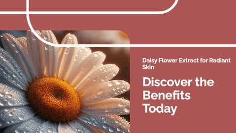 I'm going to introduce you to a superstar in the skincare world: Daisy Flower Extract. This isn't just about skin brightening, it's also about nurturing your skin safely and effectively.
The Non-Toxic Solution for Hyperpigmentation
If you're grappling with hyperpigmentation, you're going to find out that Daisy Flower Extract is a non-toxic botanical ingredient that comes to the rescue.
It's known to brighten skin by targeting and inhibiting the production of tyrosinase – an enzyme crucial for melanin production – by up to 50%, thus putting a brake on hyperpigmentation.
Daisy Flower Extract vs. Traditional Remedies
In my opinion, this extract isn't receiving the attention it deserves, especially when compared to more traditional remedies like hydroquinone.
Daisy Flower Extract stands out as a powerful alternative, prized not just for its efficacy, but also for its gentle nature.
Safe and Eco-Friendly Skincare
Moreover, it’s safe for those with a delicate complexion, including expectant mothers.
And here's something for the eco-conscious: it contains organic acids, specifically tartaric and malic, which not only lighten your skin but also exfoliate dead cells, revealing a fresher, radiant complexion beneath.
Beyond Brightening: Repair and Antiseptic Properties
The extract doesn't stop at brightening; it provides exceptional repair to skin tissues and showcases promising antiseptic properties.
For anyone who can't tolerate Hydroquinone or Kojic Acid, or for pregnant women on the lookout for an effective hyperpigmentation treatment, Daisy Flower Extract emerges as a great alternative.
You'll appreciate how this gentle extract can rejuvenate your skin without the harshness often associated with chemical agents. And trust me, the results can be just as impressive.
Unlocking the Power of Nature with Daisy Flower Extract
So, what have we learned about Daisy Flower Extract? This petite flower packs a mighty punch when it comes to natural skin care.
1. Historical and Modern Significance:
Its history in herbal remedies goes far back, but it's the modern application in tackling hyperpigment...
https://skincareoss.com/daisy-flower-extract-in-skin-care/