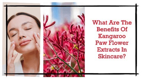 I often marvel at how nature offers us a bounty of skincare solutions, and one such gem is the Kangaroo Paw Flower extract. Native to the landscapes of Australia, this botanical wonder is not just eye candy for admirers of the unique flora but a powerhouse of skin regeneration benefits.
It makes me think about the potential held in every petal, every leaf. The Kangaroo Paw Flower, or Anigozanthos flavidus to use its scientific name, brings a fusion of tradition and modern science to the skincare table.
Anigozanthos Flavidus: Nature’s Answer to Aging
Anigozanthos flavidus packs a punch when it comes to aiding skin in the fight against aging and damage.
It's loaded with active molecules that seem scientifically tailored to nurture skin cells back to a state of vibrancy and health.
The extract is celebrated for its ability to support the skin's natural healing process, helping to reduce the appearance of fine lines and improve overall texture.
The Essence of Extraction: Preserving Potency
Beyond its regenerative capabilities, extraction methods matter immensely.
The Essence of Extraction preserves the plant's potency, ensuring that what ends up in our skincare products is as close to nature's design as possible.
This is where I see a deep respect for the plant's attributes, maintaining its integrity from the moment it's harvested to when it's applied to the skin.
Ancient Wisdom Meets Modern Skincare
The wisdom of ancient remedies has always appealed to me, and it's exciting to see modern health practices reflect that ancestral knowledge.
Australasia has a rich history of using indigenous plants for their medicinal properties.
Harnessing that ancient wisdom, Kangaroo Paw Flower extract is making a name for itself not only in Australia but on a global scale for its remarkable ability to heal and rejuvenate the skin.
Scientific Validation of Kangaroo Paw Flower’s Healing Powers
Scientific research offers a nod to the medicinal prowess of this vibrant flower, bringing ancestral remedies into the limelight with rigorous studies.
The scientific community ha...
https://skincareoss.com/what-are-the-benefits-of-kangaroo-paw-flower-extracts-in-skincare/