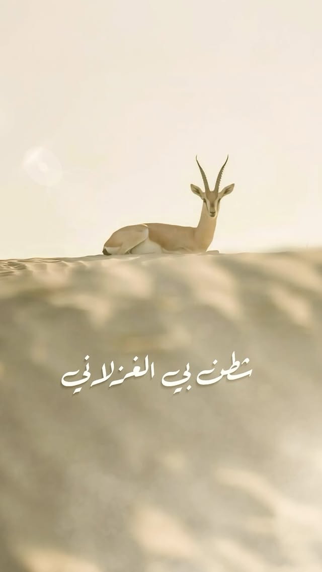 ميدلي زايد✨
كلمات : الشيخ زايد بن سلطان آل نهيان طيب الله ثراه
شطن بي الغزلاني
لي لهن عيان سود
والسولعي وزاني
في امتابعه مجهود
إمن الوزا ظمياني
ولا نلت لي مقصود
و حقه ذرب المعاني
سلام عد النود
ألحان : خالد ناصر
@khalednasser1
غناء : عبدالرحمن الجنيد
@a_aljunaid90