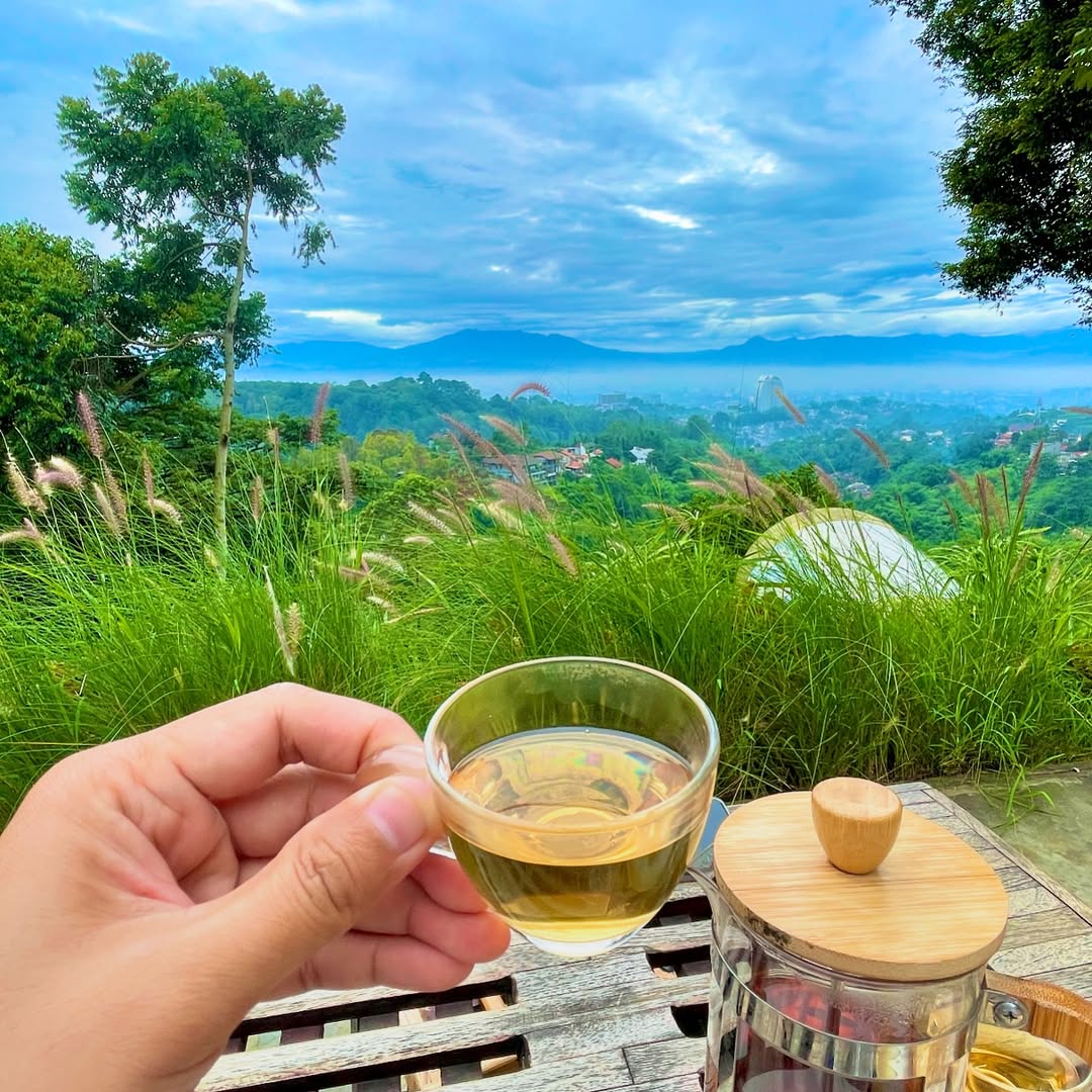 Kembali Pulang? #moment #realvsinstagram #tea #morning