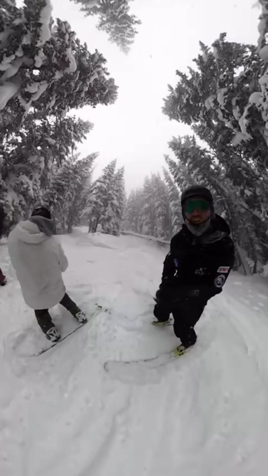 Take some laps with me 🎿 Trees, Pow, Friends…the ultimate sessions!