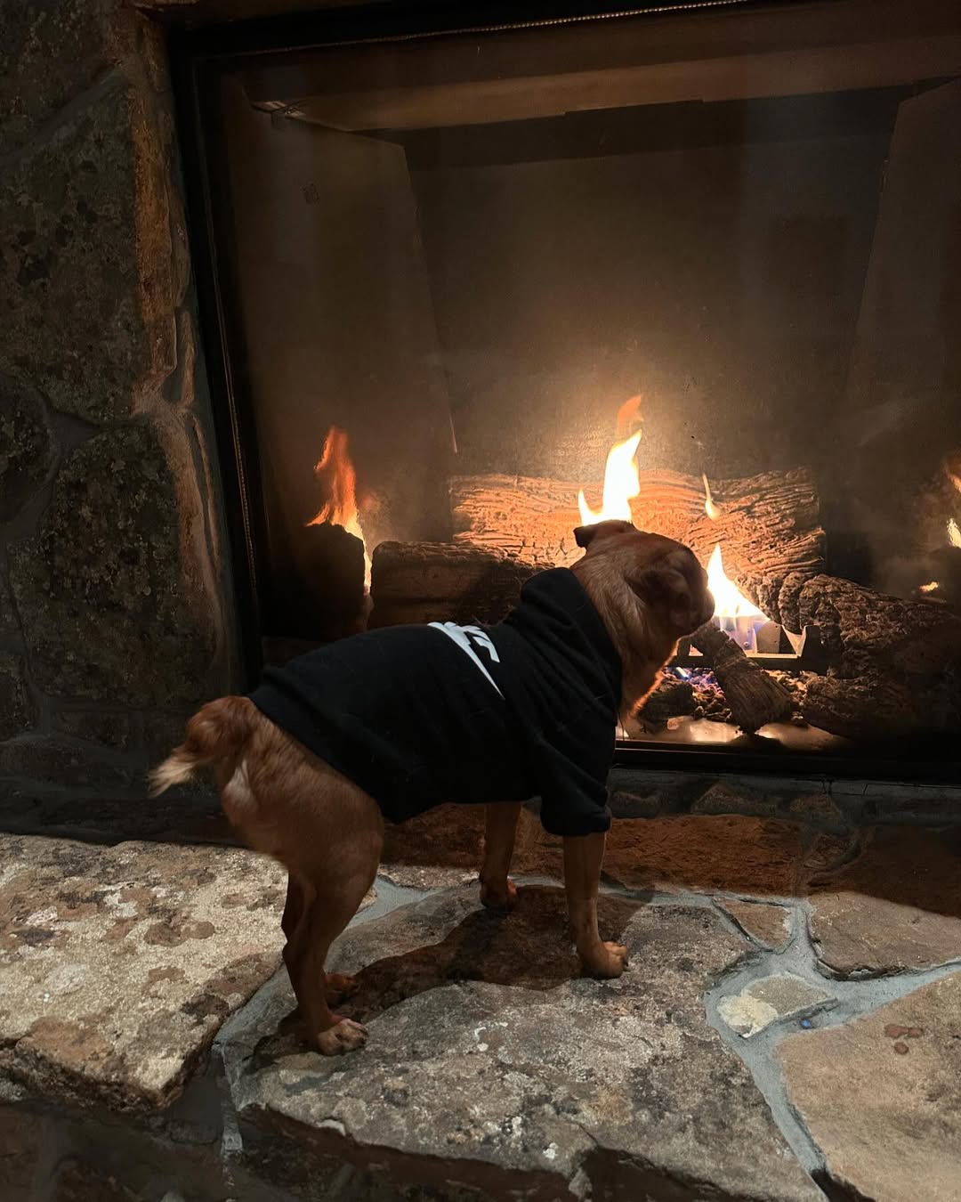 Some quality time in the mountains 🥰🏂❄️🐶