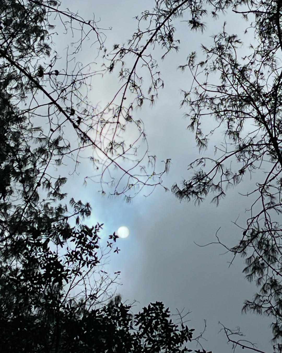 โEscritora de su propia historia, inspiraciรณn de sus propios versos, musa y creadora a la vez. No busca reflejos ajenos porque lleva el arte en la mirada y la fuerza en el alma.
Su mundo es su lienzo, y su esencia, la tinta que lo llena.โฅ๏ธ
๐ท๐๐๐.โ๐ป
โEllaโ ๐น
Coming Soon.