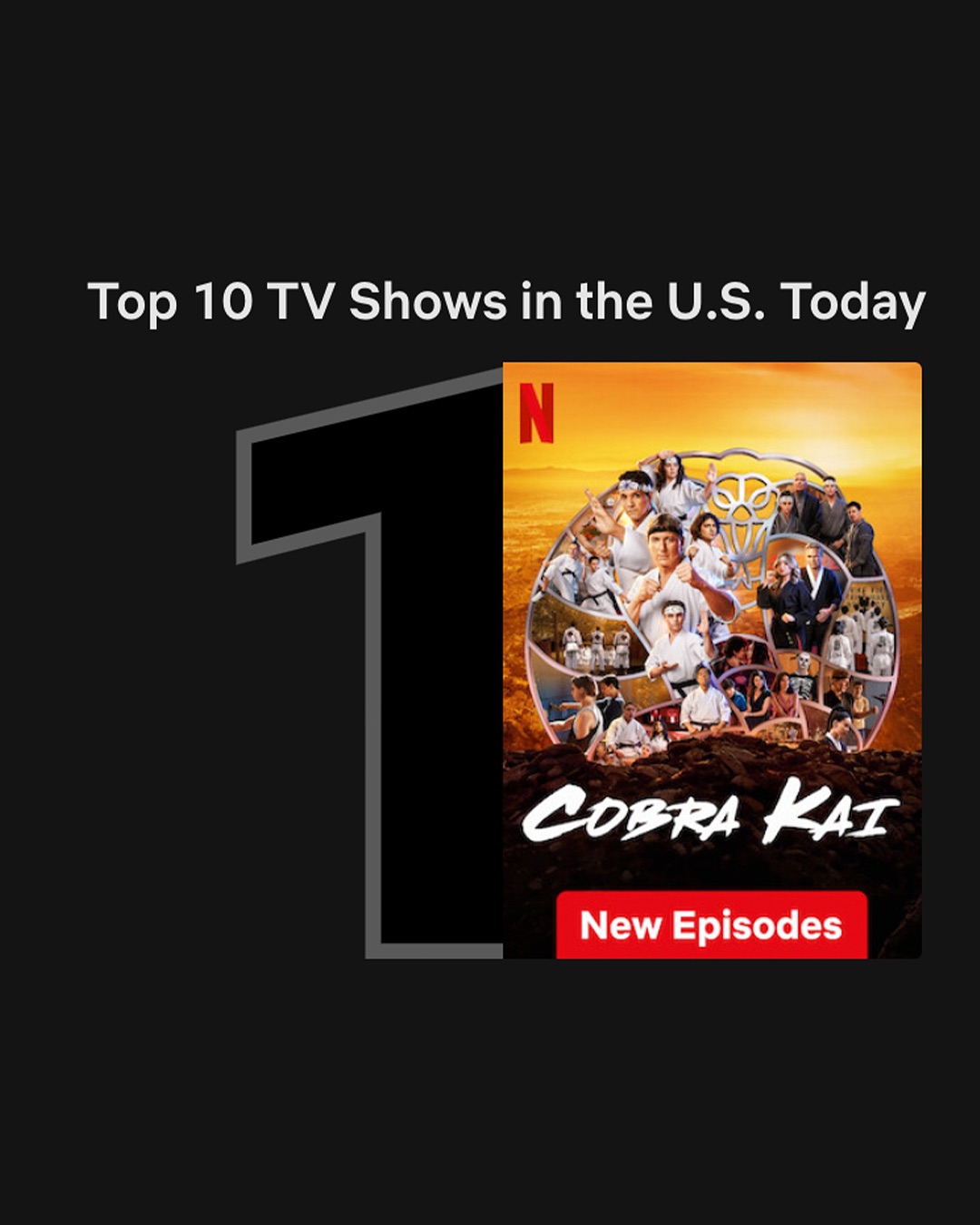 Thank you to everyone who has supported this show from the beginning to now. None of this would be possible without you. Your love and support is why we are here. Without you guys, @cobrakaiseries would not exist. Thank you thank you thank you for being there with us through this amazing journey and hope we are lucky enough to get to do it again someday.