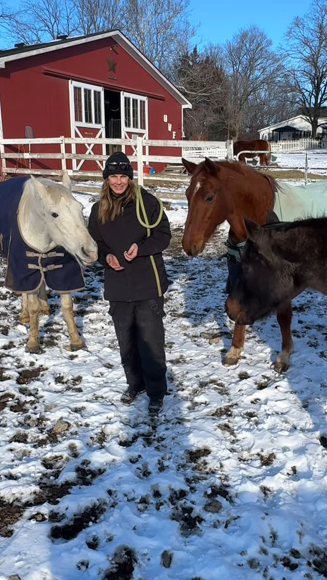 There’s something pure about honest hard work—when your breath meets the cold air, and every chore is a quiet reminder of what really matters. Feeding the horses, caring for the land, moving through the snow with someone you love by your side—it’s not just work, it’s devotion to something bigger than yourself.
It’s the beauty of being present in the small, simple moments. The cold bites, but the heart stays warm, full of gratitude for this life, this partnership, and the quiet magic of a day well spent.
Here’s to making things last—cherishing every breath, every task, every shared glance in the stillness of the snow.
#GratefulHeart #HardWorkHonestLiving #SimpleJoys #InTheMoment #PartnershipInLife