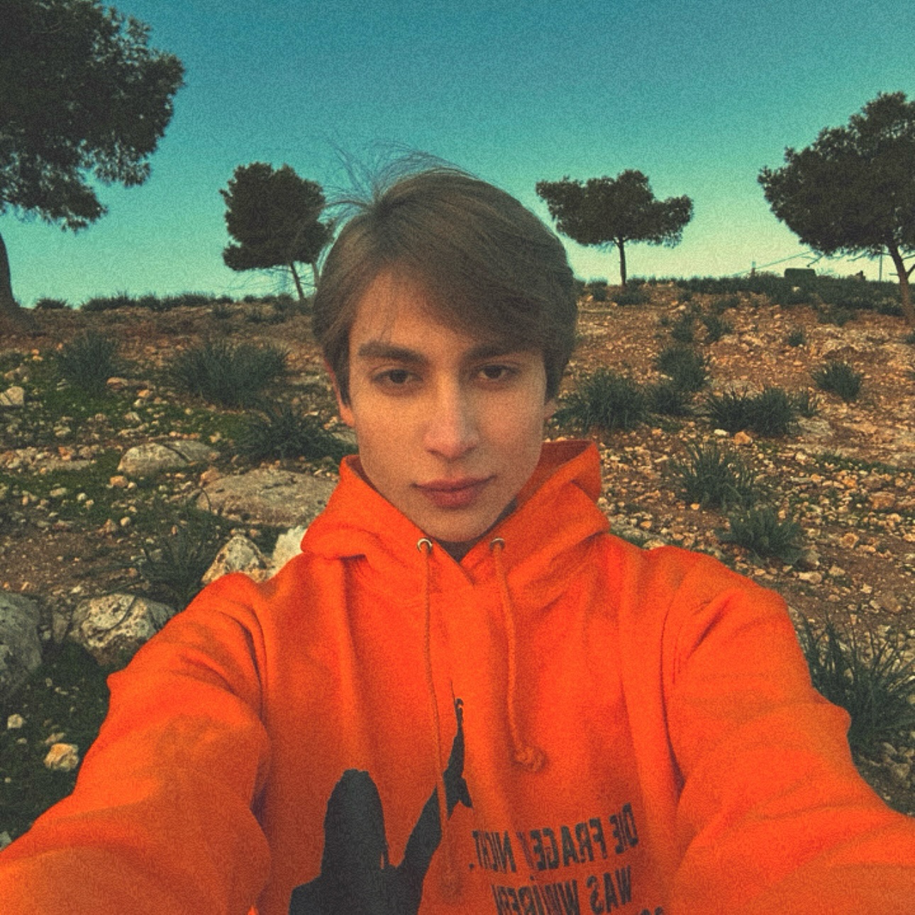 feel the pictures🪽#omaralashqar