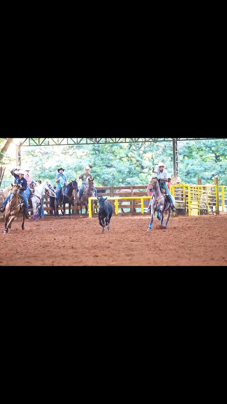 LILLY CAT GUN 🐴
Corridas no @superseries.teamroping
@royalropesbr
@roppersoficial
@rancho_tenda
@nutrimaxnutricaoanimal
@equoz3
@dejalmapesca