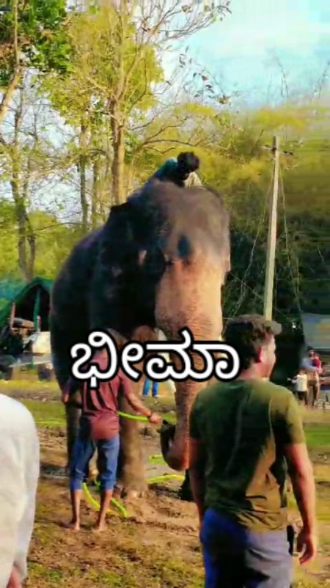 ಬೀಕ್ಕೊಡ್ ಬ್ಯಾಚ್