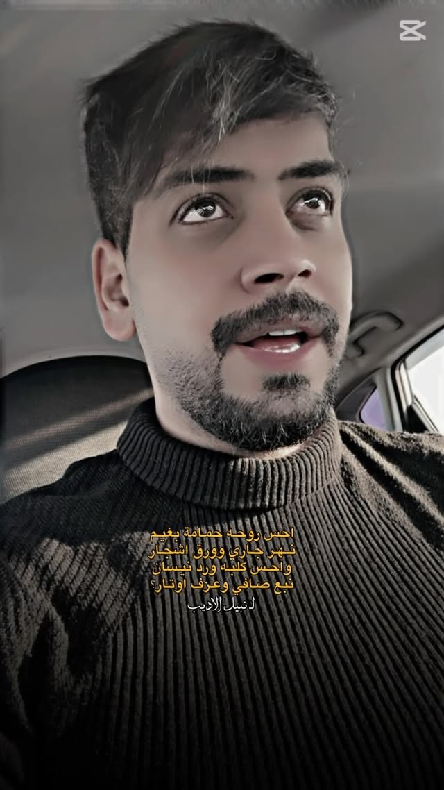 إنتظر حتى يذهب الإنبهار، ثم قرر. #نبيل_الاديب #اكسبلور #اربيل