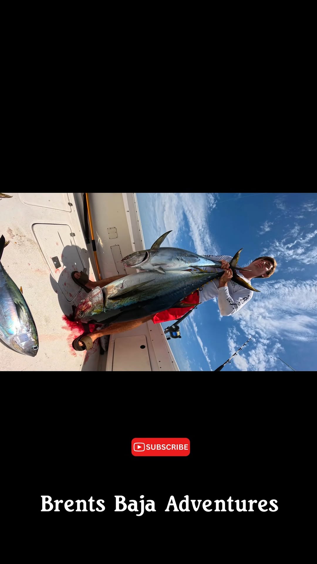 Go subscribe to my channel if your cool ๐ @brents.baja.adventure #fishing #ocean #camping