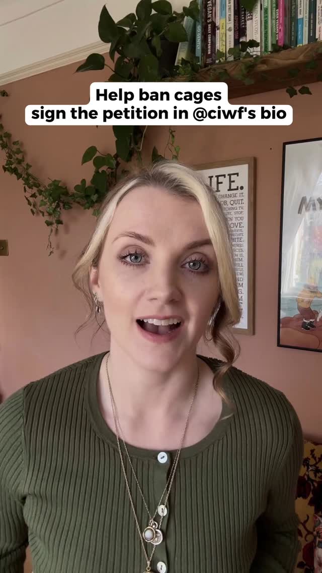 Please join @evannalynch and sign the petition to ban cages for all farmed animals in the UK.
If you live in the UK or are a British citizen, please visit ciwf.org.uk/SignThePetition or click on the link in our bio @ciwf.
When we reach 100,000 we can get a parlimentary debate - so every signature really does count. Thank you.💚