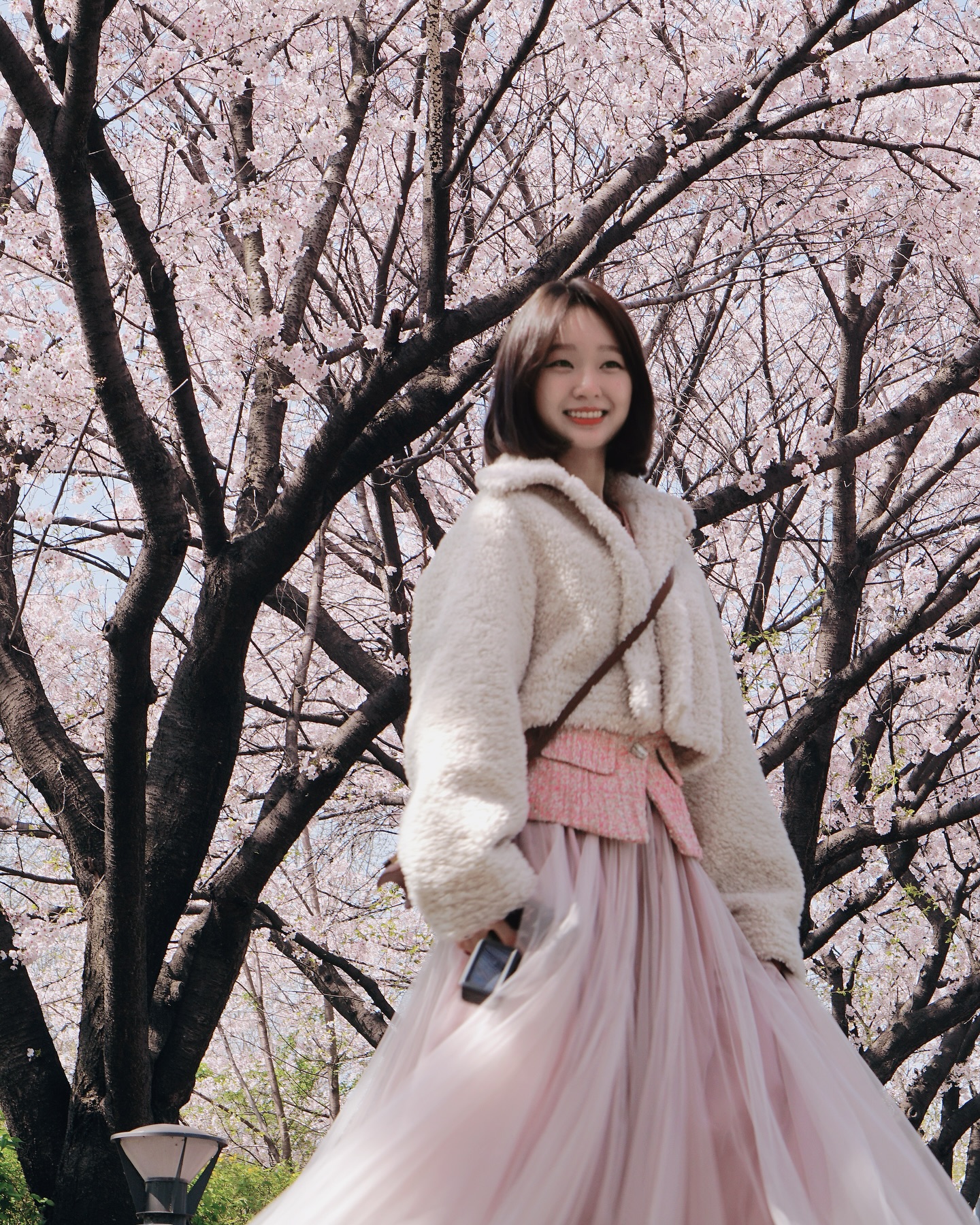🇰🇷 🌸