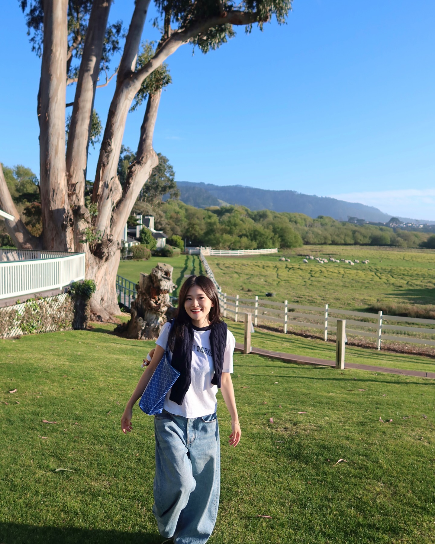 Monterey–SF road trip🚙 Full vlog OUT on my YouTube🫂