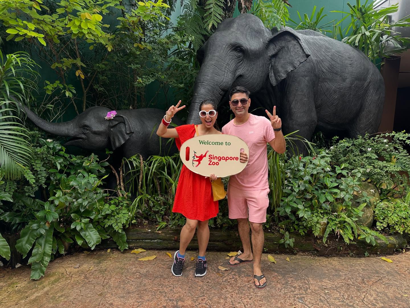 Day 4 at Singapore Zoo
"Did you know Singapore Zoo is home to over 2,800 animals from 300 species? 🌟 They're not just a zoo, but a conservation hub! 🌿
#SingaporeZoo #ConservationMatters"