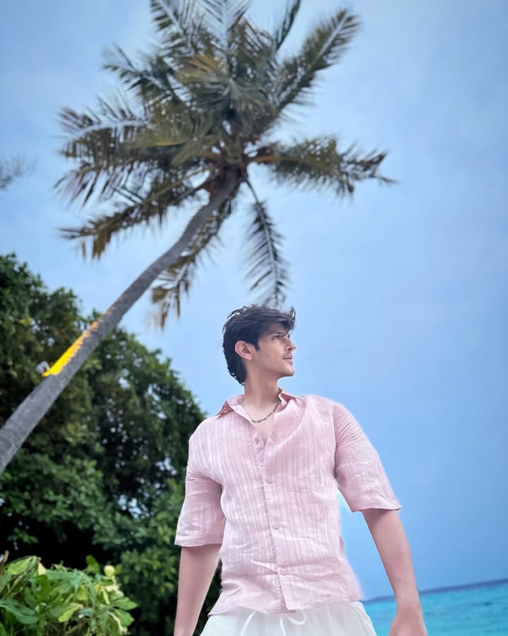Palm tree paradise 🏝️