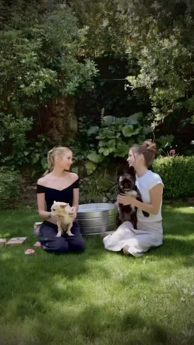 Fun in the sun with our 👼🏻’s!! 🐾
Please meet the newest additions to the @myperopero family! We’re so excited to share our gentle shampoo and refreshening spray, made with jojoba oil and manuka honey for natural softness and shine🤍Only the best for our babies.