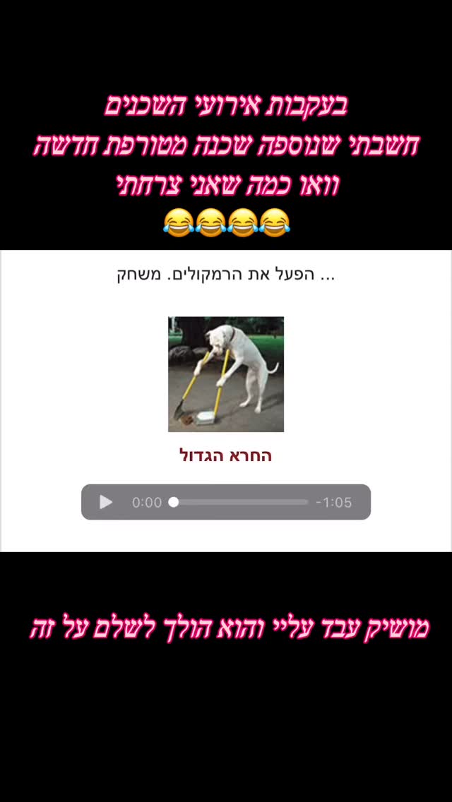 צפה פגיעה @moshikgalamin