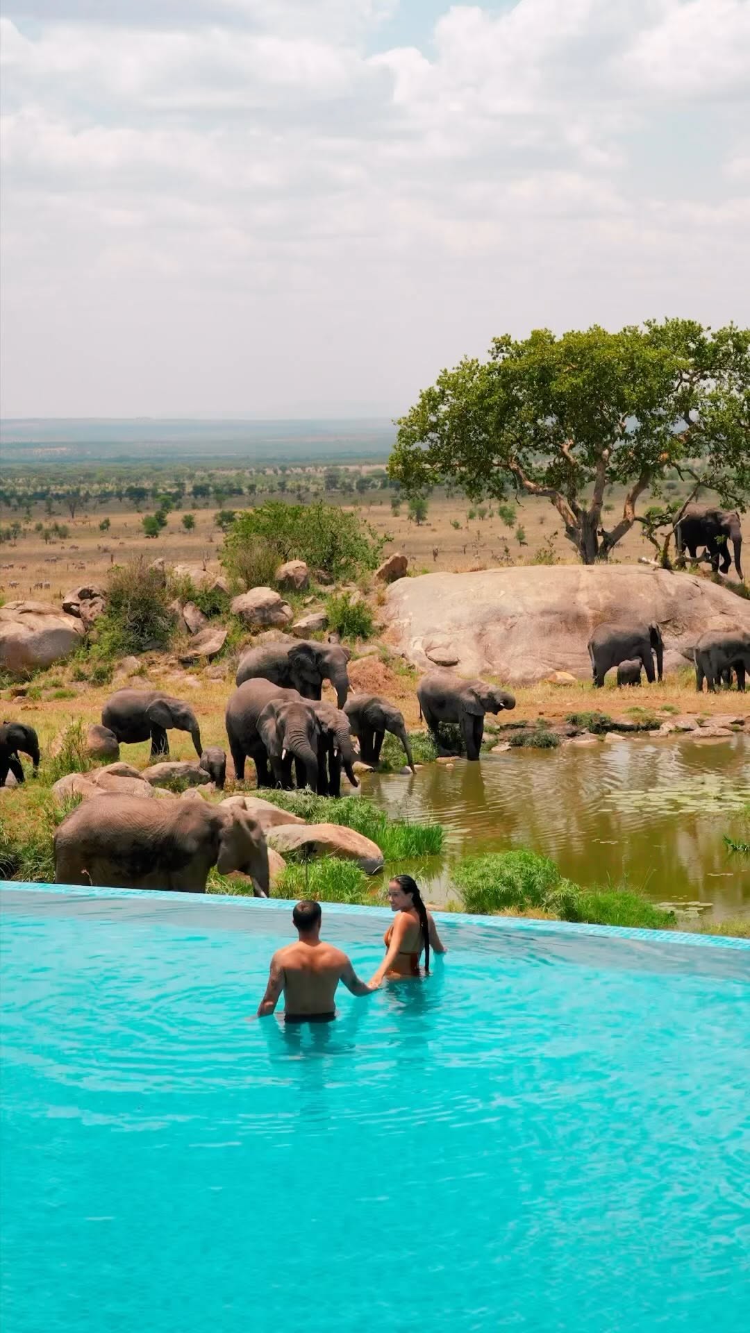 Tag who you’d swim with!
Serengeti, Tanzania 🇹🇿 By @missangievilla & @jeremyaustiin