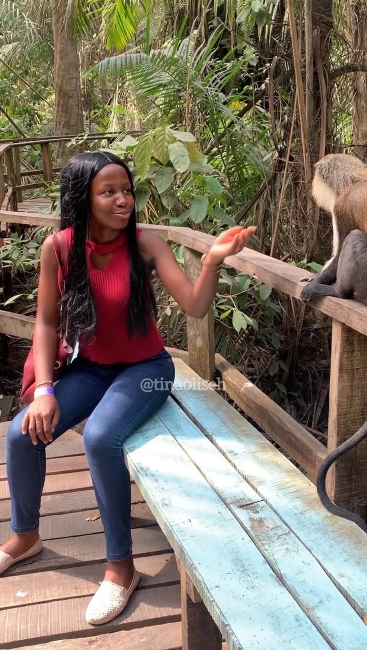 It’s been ages since i shot this video,and today I finally decided to upload it(literally to get it out of my gallery.lol :)..) I have been off social media for a while( content creation No Easy),but i hope y’all enjoy this, cause i did love every bit of the experience ✨.
Especially the fact that i had to face my fear of heights 😬…
Ignore my voice( just playing around while editing🙃).
@lekkiconservationcentre was fun, especially all the climbing activities 😌
Which do you think i enjoyed doing the most?
Which would i neevr attempt again EVER…?
Which is your favorite 🌚?
Make sure to never go ALONE!
Go with friends.. family… folks that would literally make it fun and memorable ✨
#explore #lekkiconservationcentre #outdoor #vlog