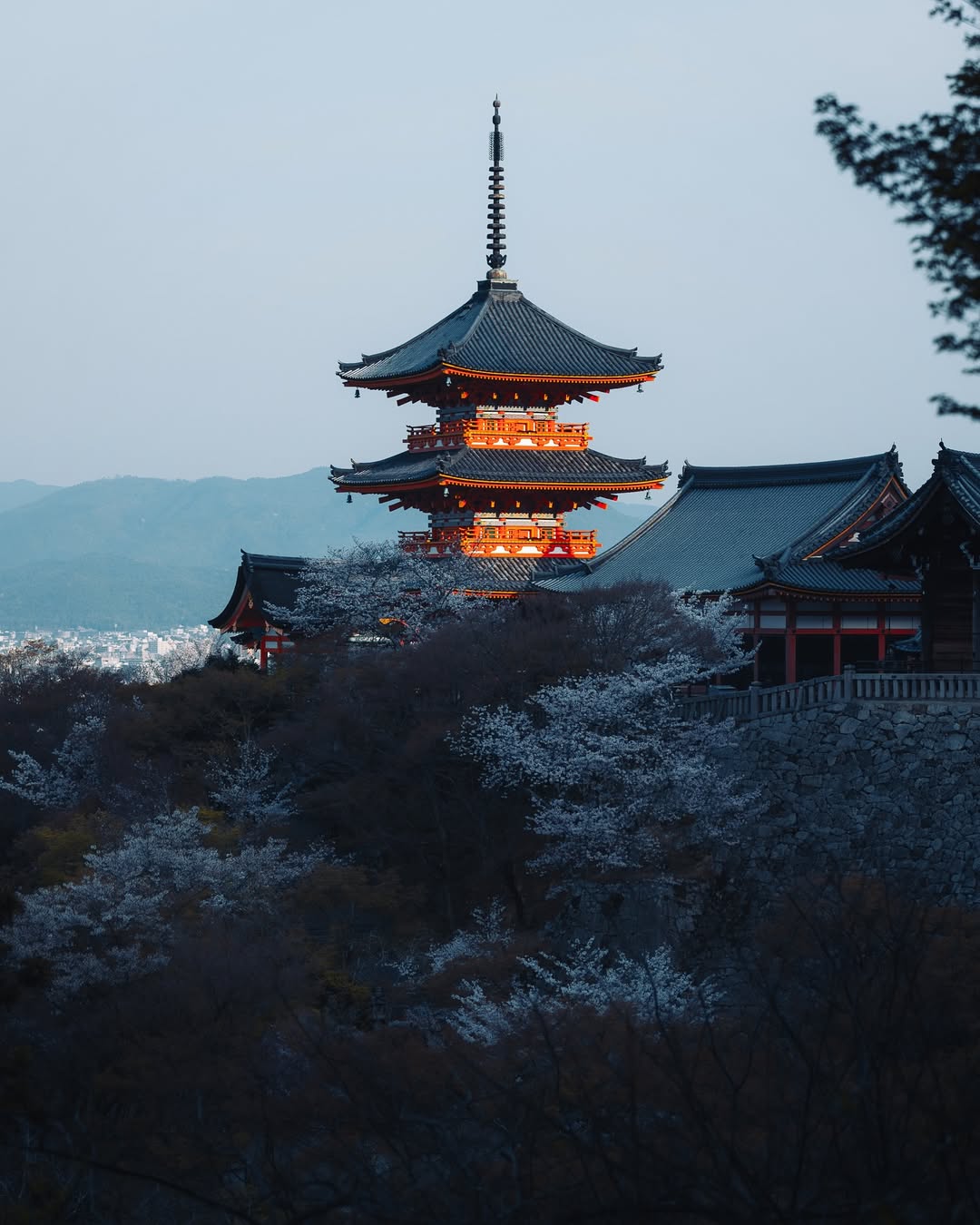 Kyoto Mornings ~
#leicasl3s #70200mm #japantravelgallery #kyōto