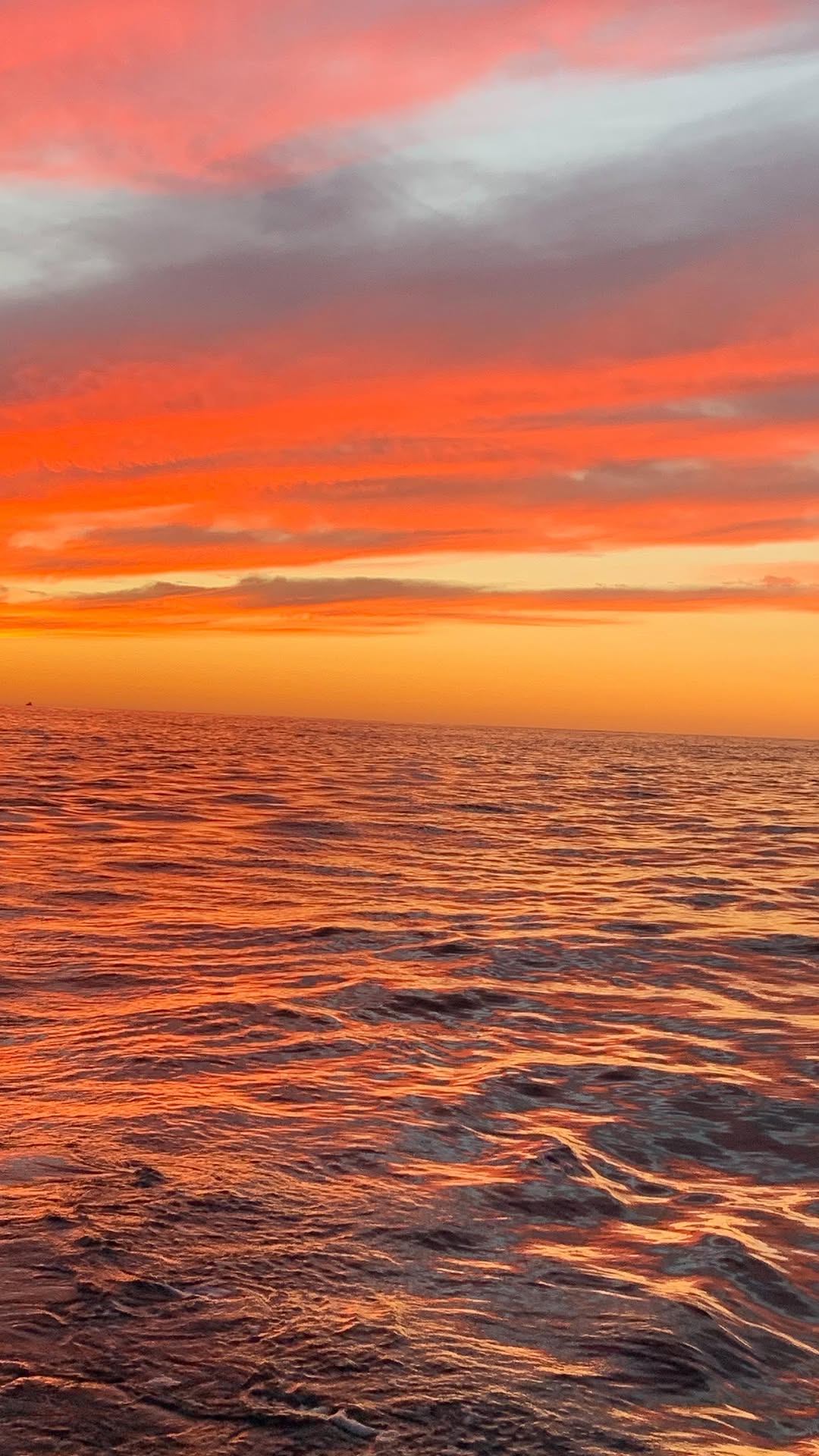 Forever chasing sunsets …
.
.
#sun #sunset #travel #desert #cabo #baja #yucatan #roadtrip #ocean #sea #beach #beachlife #california
