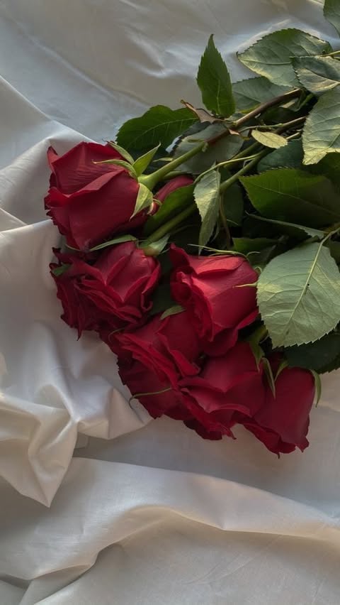 ❤️❤️❤️