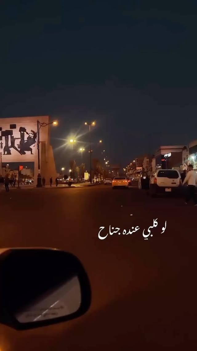 #بغداد ❤️ #قائد_حلمي #لو_كلبي_عنده_جناح