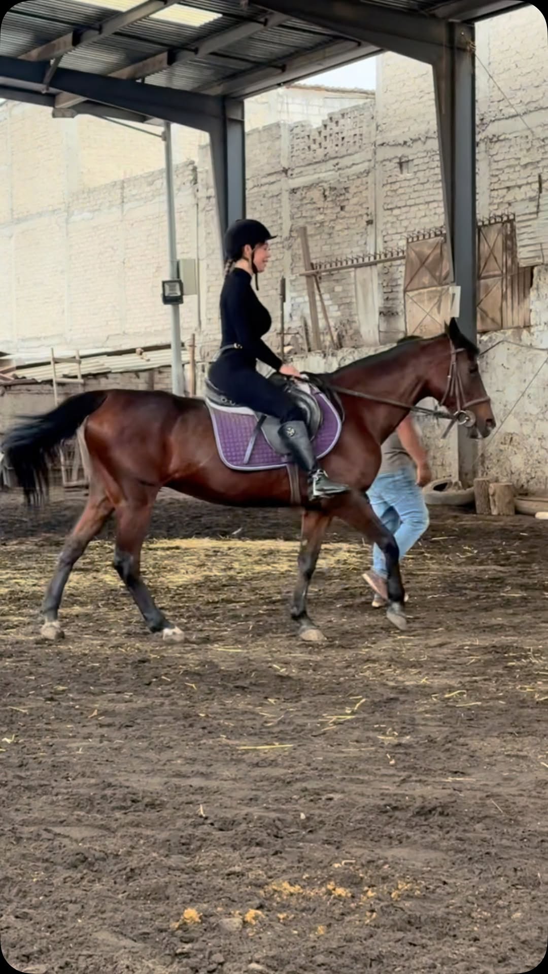 Rodรฉate de personas que te empujen hacia delante y te ayuden a brillarโจ
Mรญ primera clase ๐
#equitacion #escuelaecuestre #caballos #elartedemontar