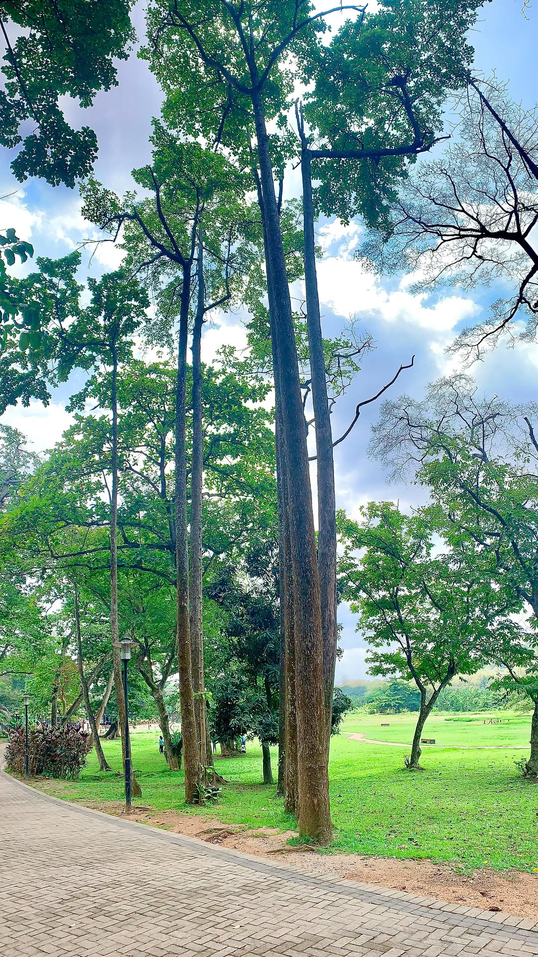 Another video i needed to get rid of from my gallery😂🌚
Nature is beautiful ✨