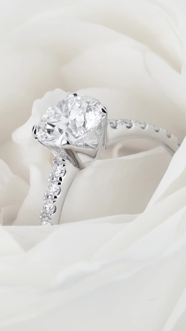 Where timeless love meets eternal glamour — @mouawad Bridal jewelry, crafted to crown your ‘forever’ with brilliance beyond compare.
.
#LifeWithPascal #Mouawad #FamilyBusiness #Jewelry #HighJewelry #Jewellery #Diamonds #Diamond #ExceptionalJewels #RareJewels #ExtraordinaryJewels #BridalJewellery