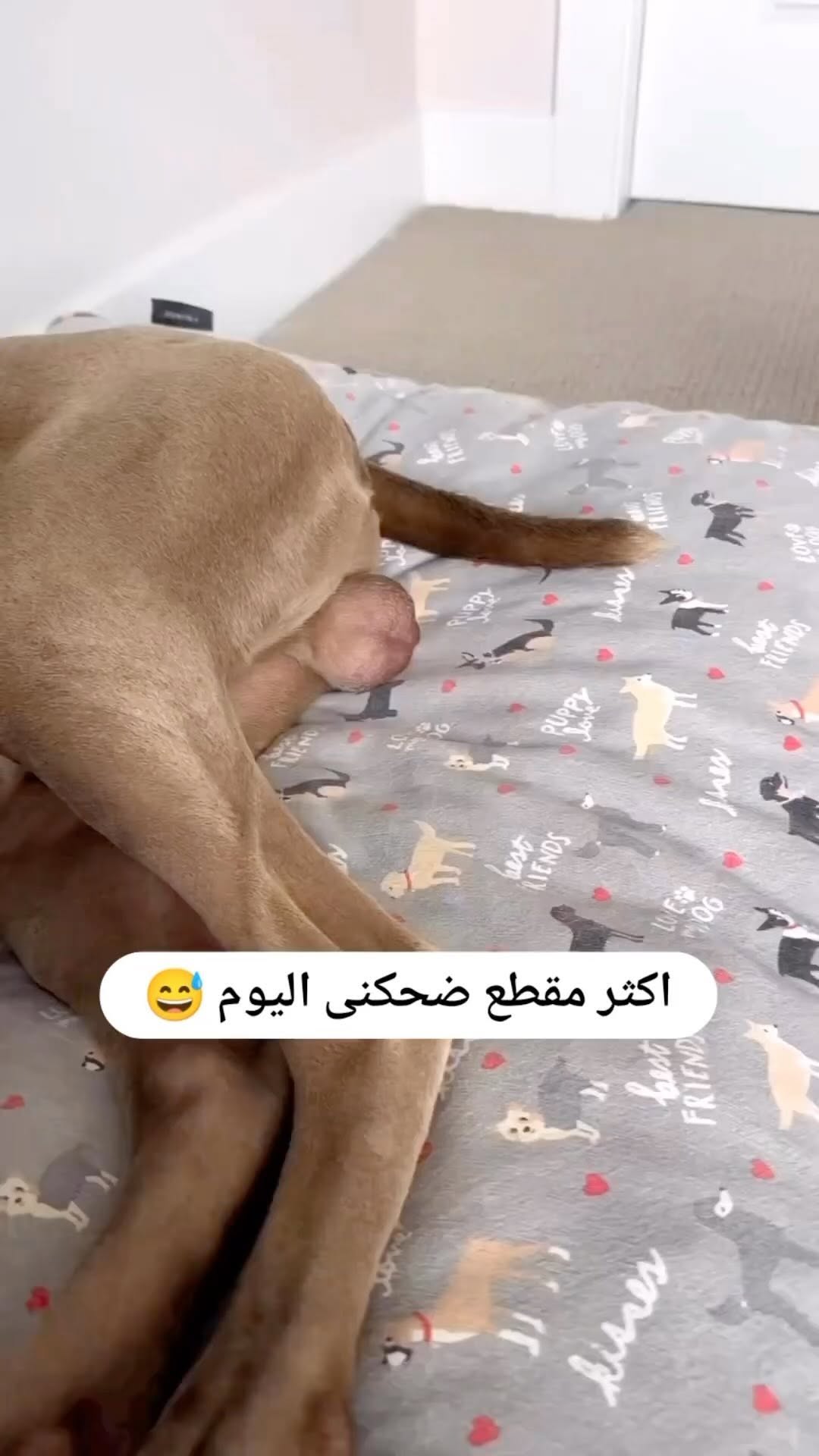 😂😂