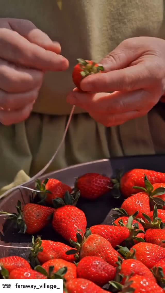 Via: @faraway_village_ 🍓
Sweet Strawberry Jam made with a stone press — using ancient village methods!
•
#reels #viral #explore #trending #cooking #food #asmr #homemade #jam #strawberry
#tasty #sweet #rustic #village #recipe #fruit #foodie #foodvideo #traditionalfood #organic
#nature #wildcooking #foodblogger #familyfirst #handmade