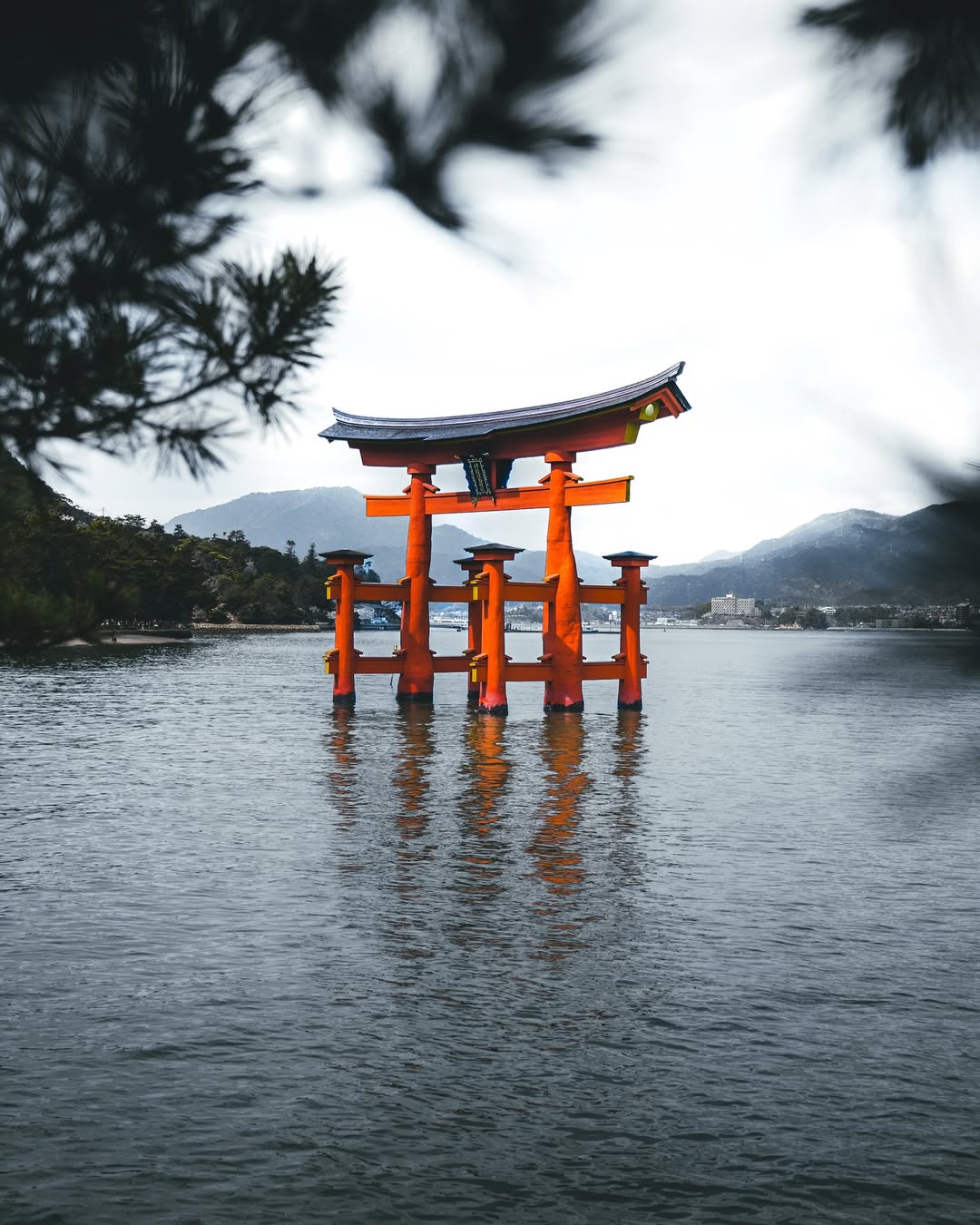 Not built to be crossed, but to be witnessed.
A gate between worlds, untouched by time ~
.
.
.
#JapanTravel #ItsukushimaShrine #ToriiGate #ExploreJapan #MoodyVibes
#LeicaSL3S #WanderlustJapan #LandscapesOfJapan #TravelPhotography
#ScenicJapan #HiroshimaViews #SacredPlaces #JapanScenery
#MinimalJapan #ToriiMagic #IslandVibesJapan