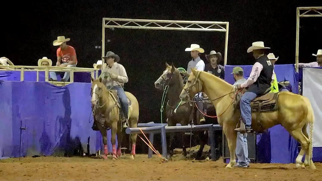 Corridas da 11ª etapa da @etr_oficial que nos levou ao primeiro lugar com o parceiro @thalesaraujo12 e segundo lugar com o parceiro @ct_murillo_moreno!!
🐴 RED TUX DEE 💎
@royalropesbr
@rancho_tenda
@equoz3
@nutrimaxnutricaoanimal
@horse_tv
@pacocadenis
@dejalmapesca
@academiaforjaprates