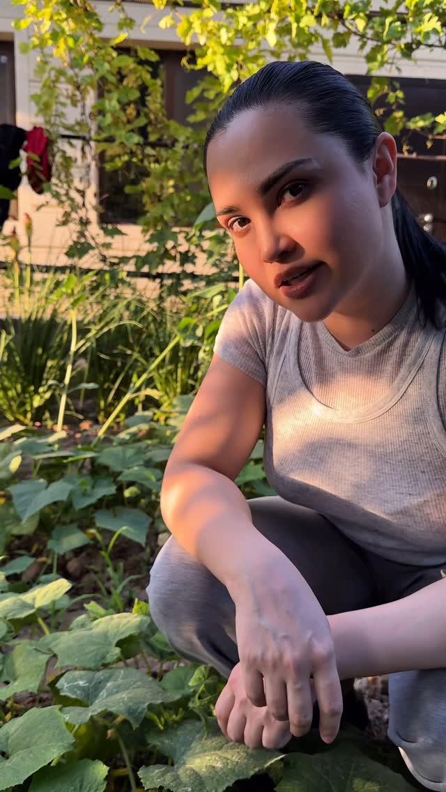 😋🥒
