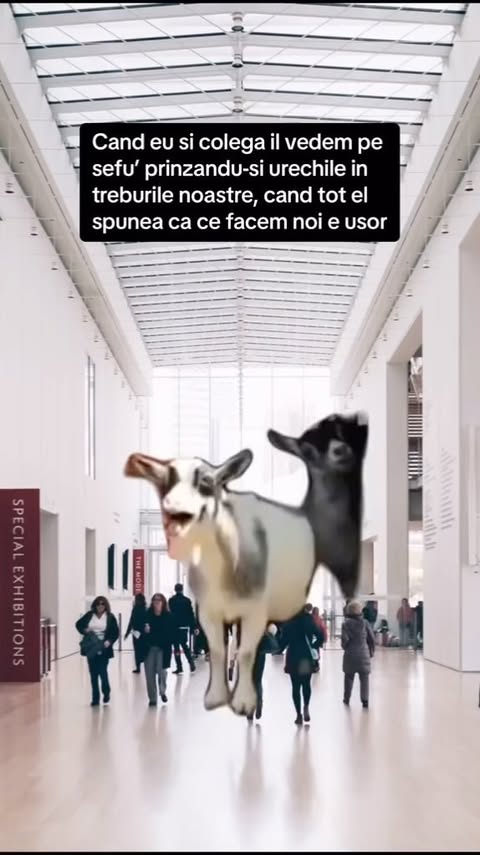 Nu dam nume sefului, dar dati-i tag colegei/colegului. 😂