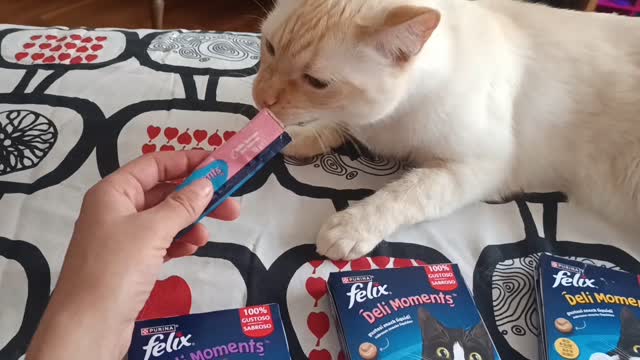 ✨ Porque hay momentos que lo dicen todo…
Con los nuevos PURINA® FELIX® Deli Moments™, puedes crear ese instante especial que refuerza vuestro vínculo. 💙
Un snack líquido y sabroso, perfecto para mimarle como se merece 😻
Puedes dárselo de muchas formas:
👉 Directamente del sobre
👉 En un cuenco
👉 Desde tu mano o una cucharita
👉 Incluso en el suelo (¡siempre limpio!)
👉 O como topping sobre su comida
Eso sí, recuerda:
🍽️ Es un alimento complementario, no sustituye su comida principal
💡 Sírvelo con moderación, siguiendo siempre las pautas de alimentación recomendadas
Mención especial a @purina_es por estos deliciosos momentos 😺
#FelixDeliMoments #DeliMoments
#Publi o #Regalo