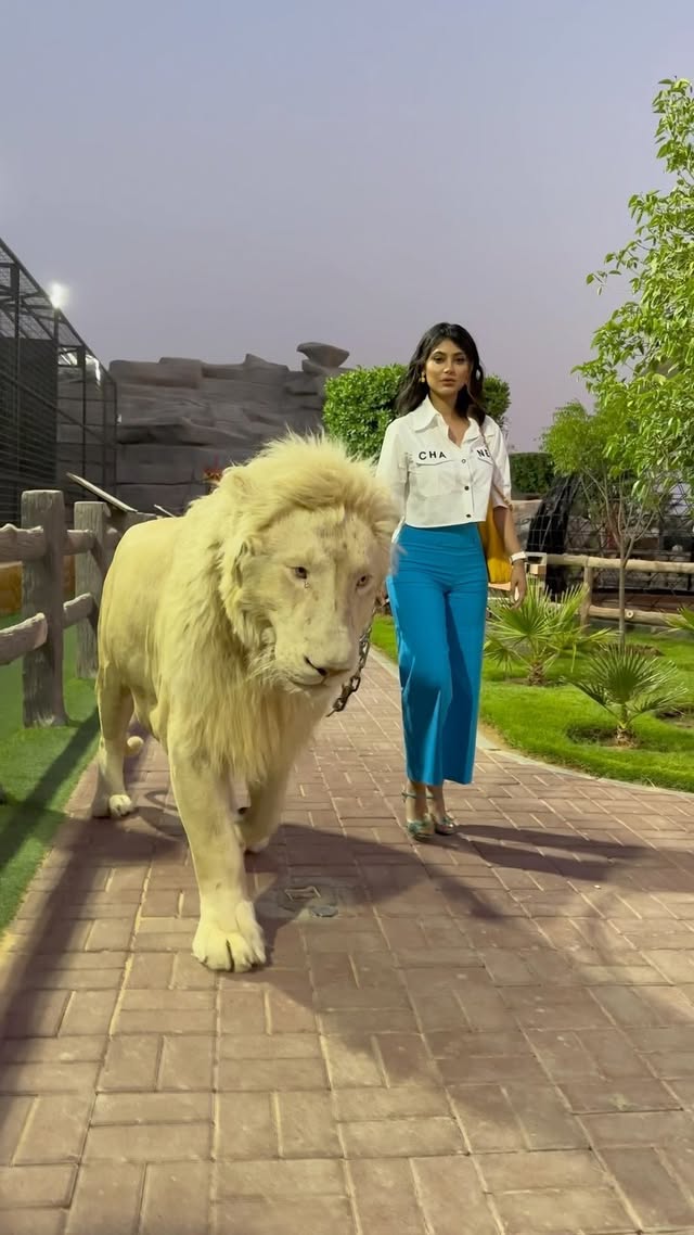 انا وبرجي شخصياً متفاهمين 🦁
..
شكرا اخوي حميد على حسن الضيافة وحسن الاستقبال ماشاءالله ربي يبارك لك .. طبعا من اجمل حدائق الحيوان الي شفتها متعه وطاقة ايجابية ومكان حلو ورايق وراقي الي بيجي دبي لازم لازم لازم يزور @humaidalbuqaish .. @albuqaish.jungle