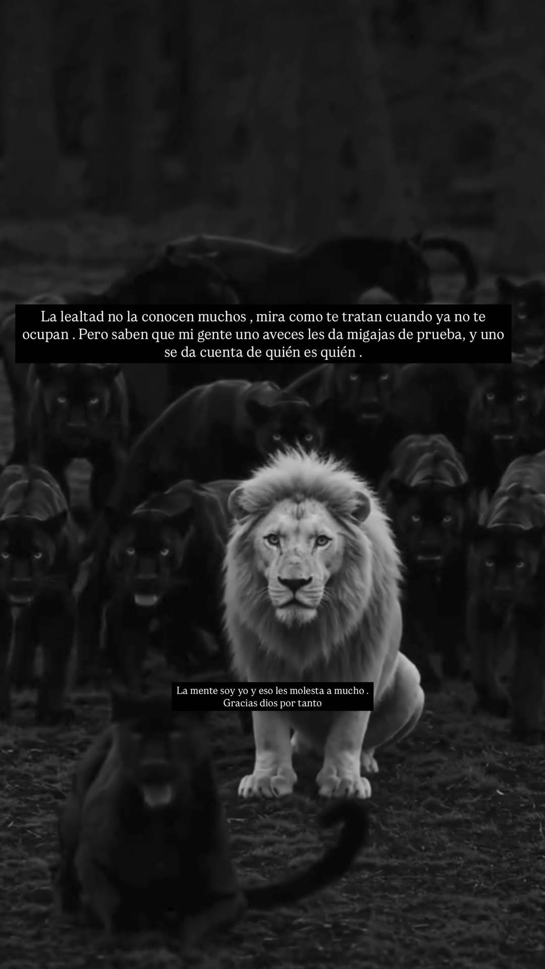 @danielhabif muy cierto tus palabras bro … Thank God for so much that you give us in this life ... Christ always heals you from everything and that you take you on the right path. #vlex #lamente
