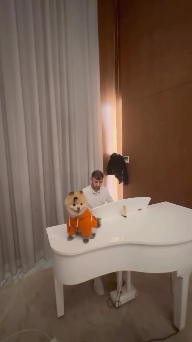 Birazda Klasik Müzik 🎶