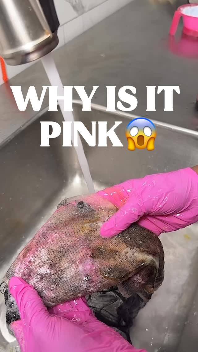 Let me know in the comments if you knew this already👇🏽👇🏽 Comment below if you go straight to purple shampoo? Now you know. Purple shampoo is for toning knots after bleach but does not insure that the bleach is completely out. Push this out, this helps those who may be in a hurry and don’t realize they didn’t get all the chemicals out before applying it to the skin. Neutralizer shampoo has the pink indicator to let you know to keep shampooing until the SUDS ARE WHITE!!!! Used @theashleymariecollection to finalize the preparation.