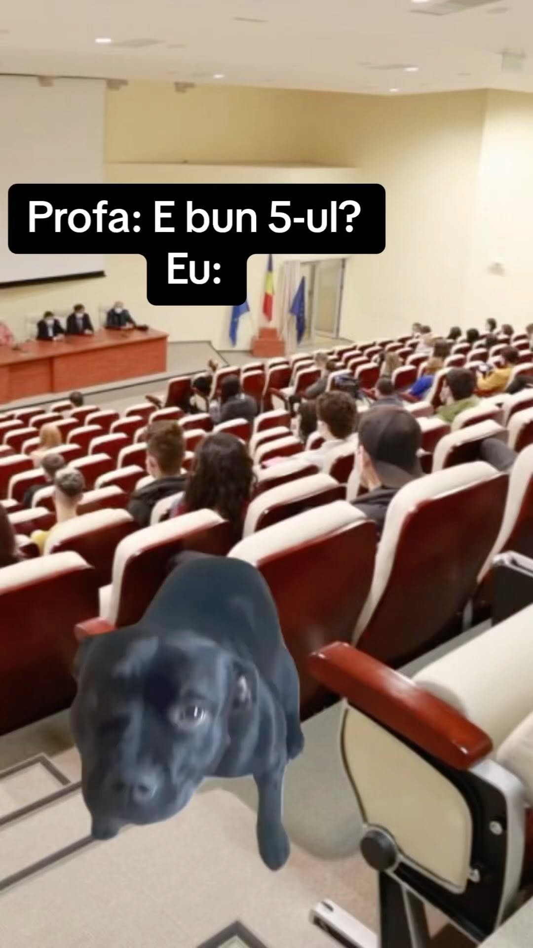 Este? 🤣