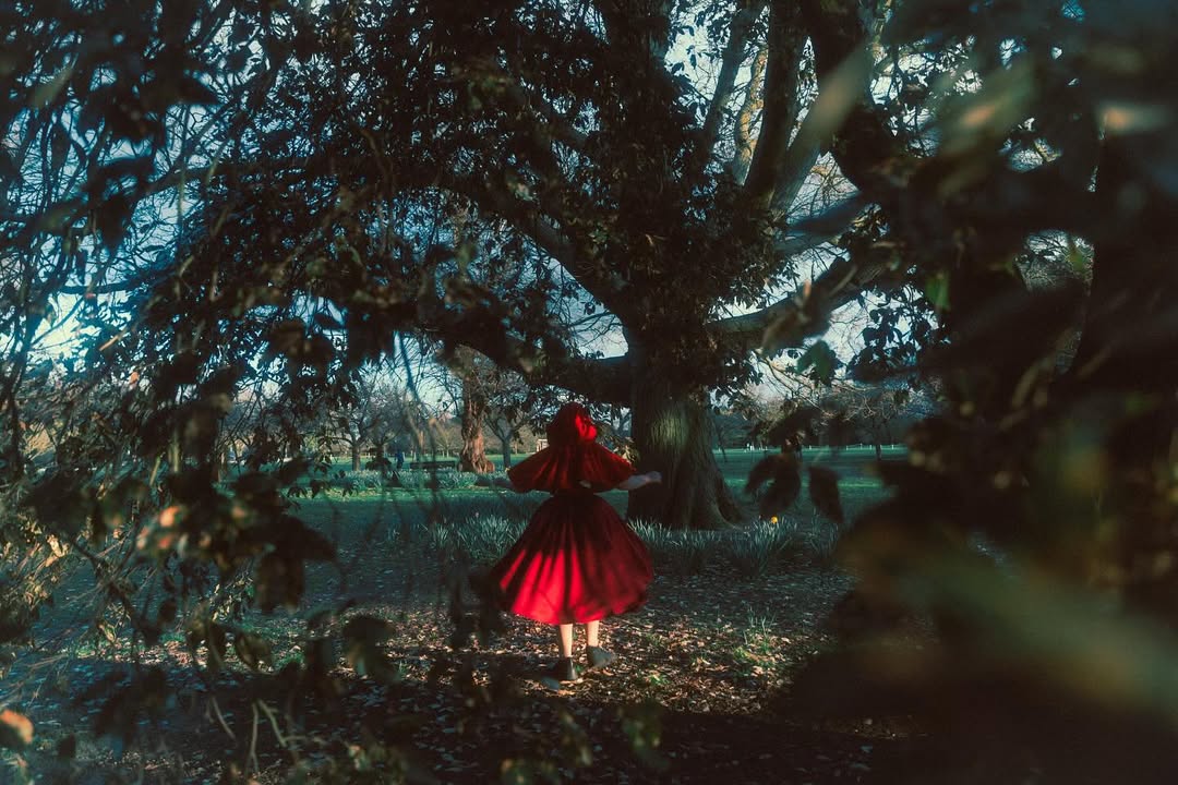 And she ran off the path into the woods looking for flowers. Each time she picked one she thought that she could see an even more beautiful one a little way off, and she ran after it, going further and further into the woods.
Photo @amandaskuoo