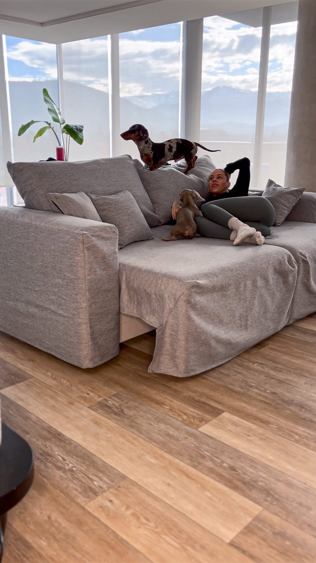 Si tienen perritos, este dato les va a salvar el sillón. Yo mandé a hacer una funda con @fundasparasofas de verdad, salvó el mío.
Tengo un sillón plegable y muchos me dijeron que no se podía hacer una funda… pero ella lo logrooooo 🎉
Además puedes elegir la tela, el color, todo. Muy seca, la recomiendo demasiado.
Y mi sillón es el modelo Toscana de @bkdesign.cl 🫶
#sofa #decor #livingroom #livingroomdesign #living #arquitectura #diseño #sillón #sofá #sofabed #décor #decoration #design #diseñospersonalizados #mueblespersonalizados #mueblesmodernos #interiordesign #furniture #roomtour #decoration #diseñandomiliving #diseñandomicasa #sillonescomodos