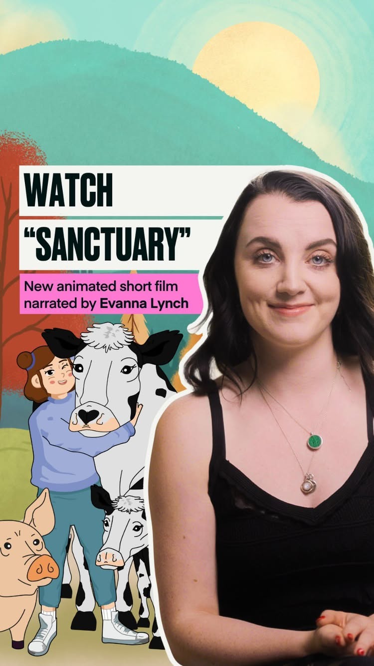 Comment SANCTUARY to watch a new short film narrated by Evanna Lynch!
It will warm your heart and inspire you to make changes in your daily life. 🌿✨
#SanctuaryFilm #EvannaLynch #GenV #AnimalRights #WorldPlantMilkDay