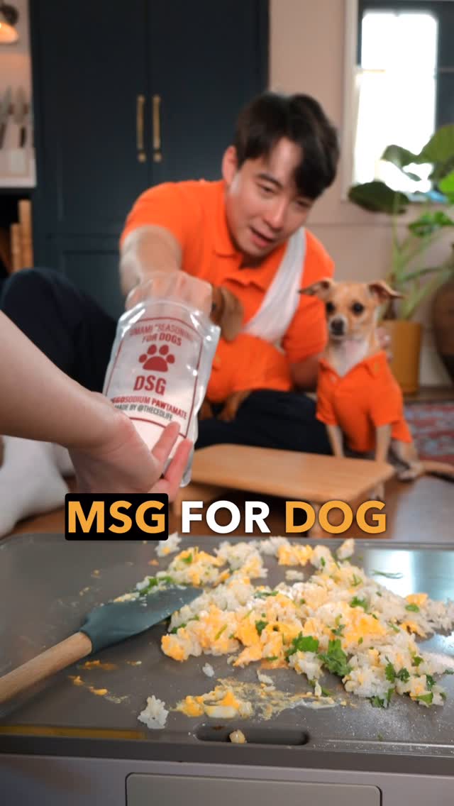Making doggy fried rice for Uncle Roger