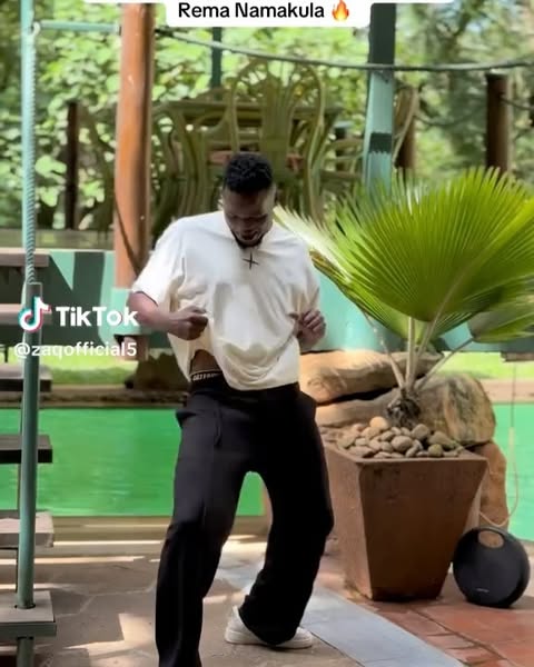 TikTok going crazy !!!
START TO DANCE REMIX ft @remah001 OUT NOW
GET ON IT