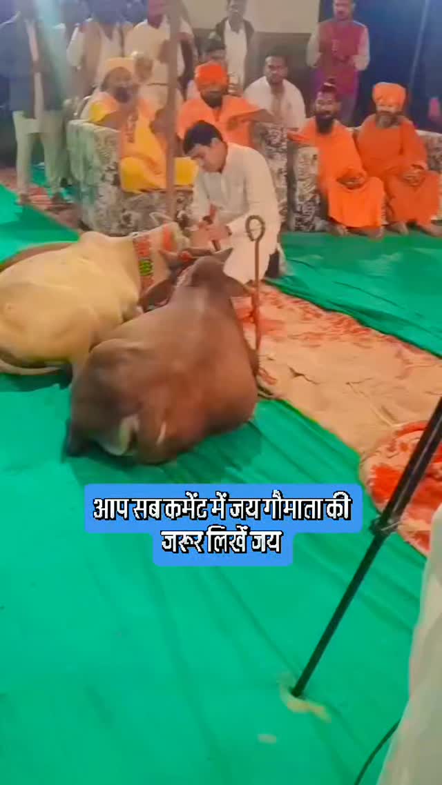 जय गौमाता #comedy #jalore #marwadi #sonisoundjalore #new #hindi #varil #bollywood #video #pali #housefull #gaumata #pathmedagaudham #pathmeda #jagiya #papiya #jodhpur #rajasthan #jaipur #udaipurlove #jaisalmer #mandir #hd